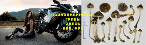 спиды Заводоуковск