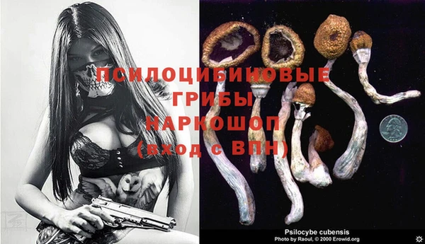 МДПВ Нестеровская