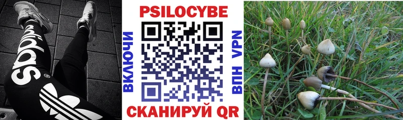 Купить  Инта  Галлюциногенные грибы MAGIC MUSHROOMS 